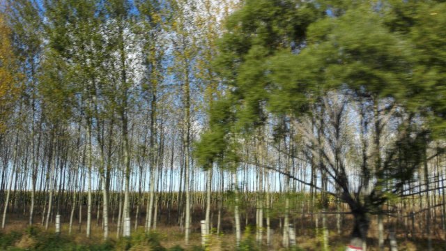 十一长春五人行