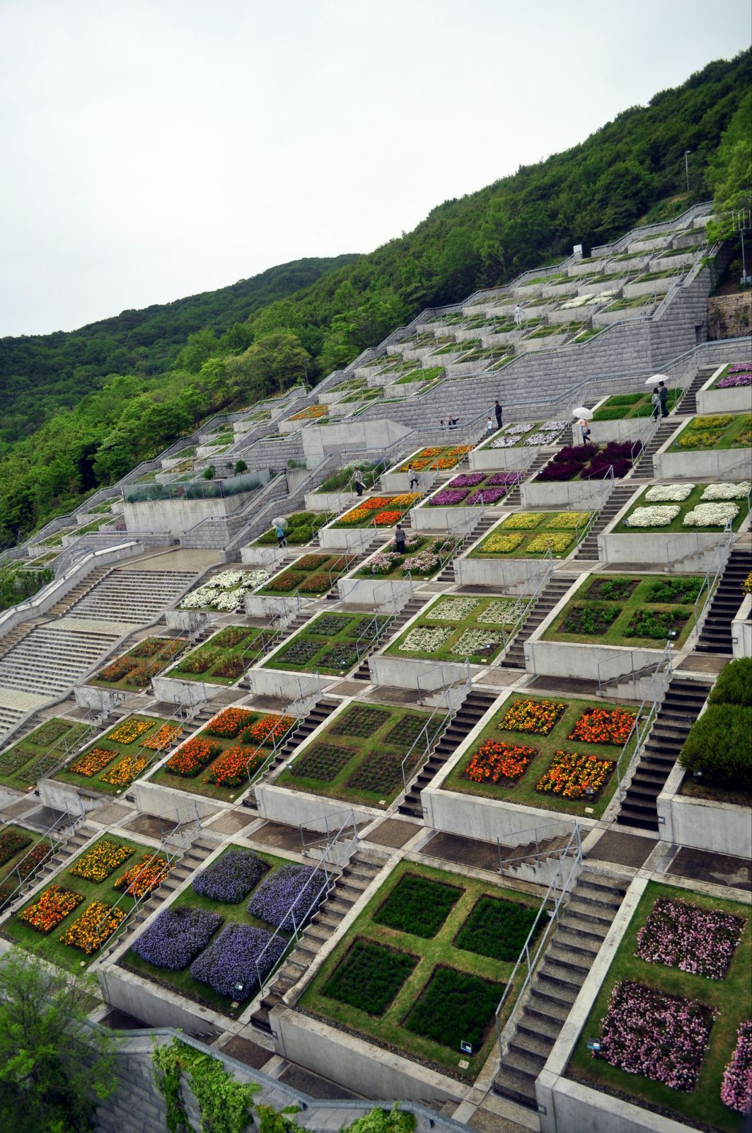 建造夢舞臺的過程中發生了阪神大地震,當恢復工程後,安藤特地加入了