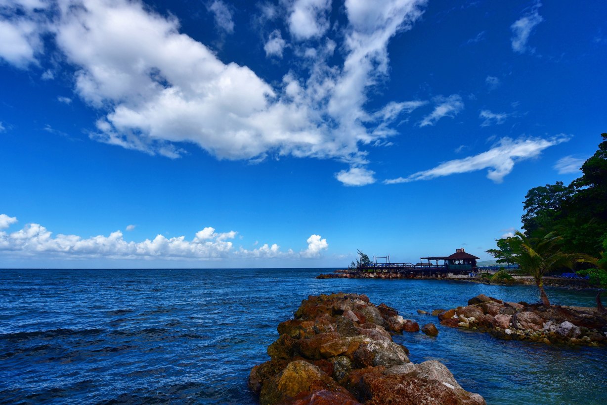 dolphin cove aquatic encunter