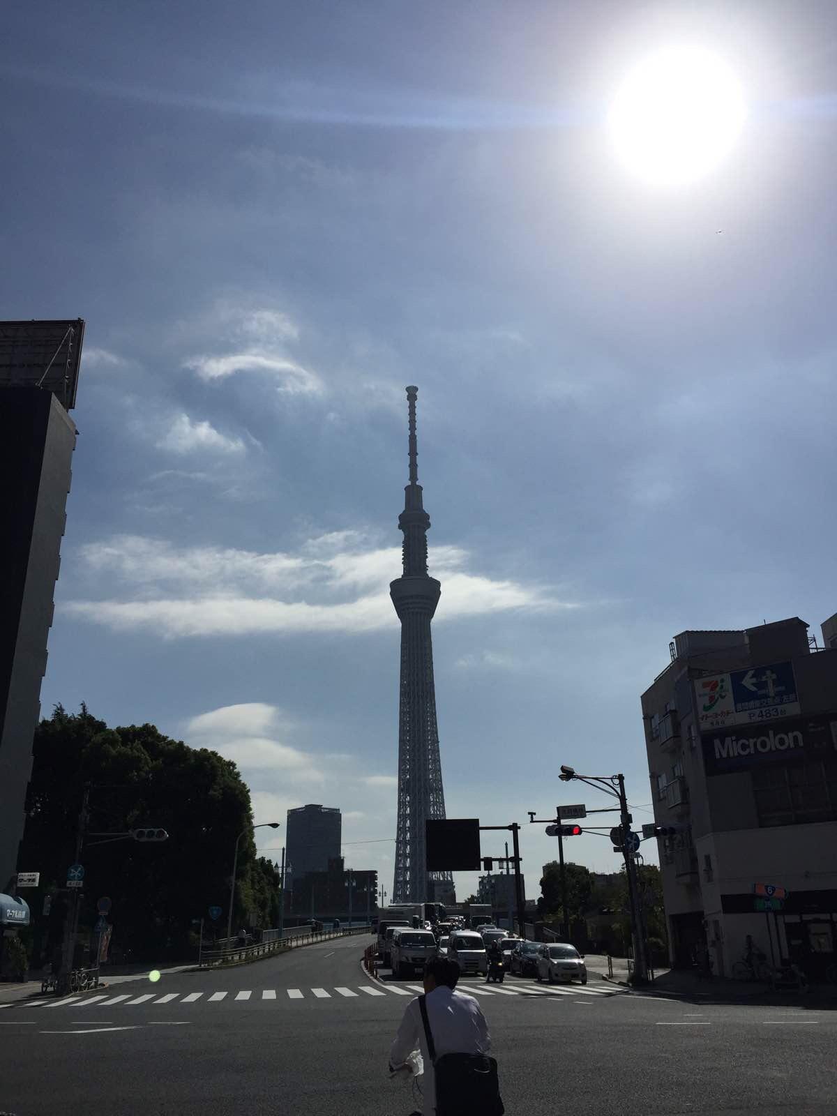东京塔白天图片