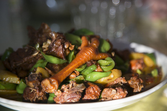 大盆鸡(佳能6d拍摄)