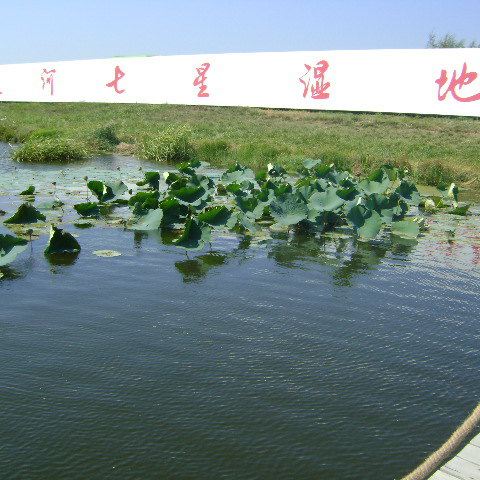 中秋假期鐵嶺-法庫-沈北新區兩日遊之鐵嶺篇