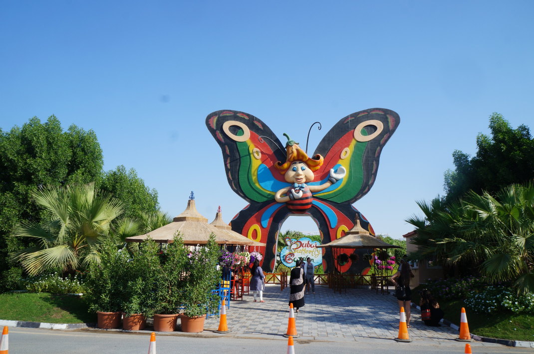 走进迪拜蝴蝶园 迪拜蝴蝶花园