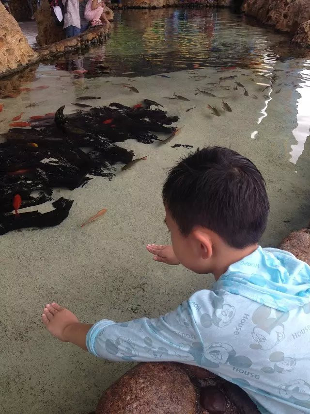 三个人的旅行,珠海长隆海洋王国亲子游 - 珠海