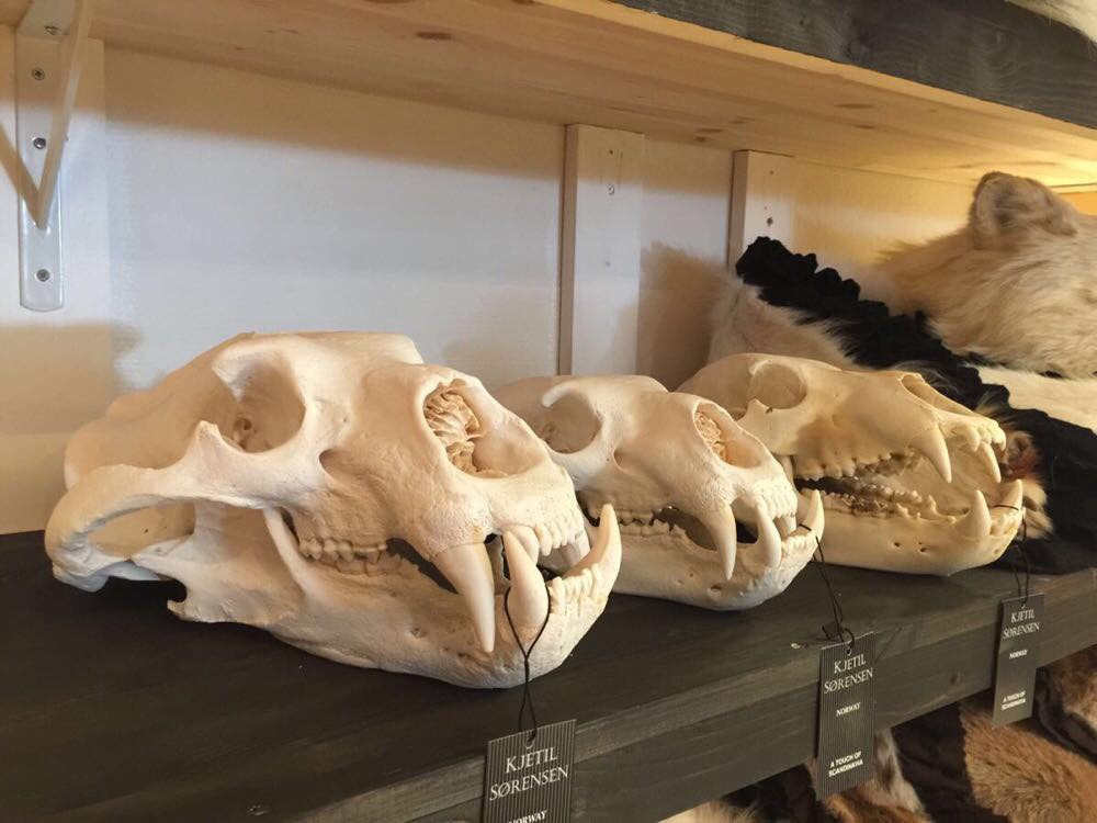 游走于北欧的夏日旅行之美景篇