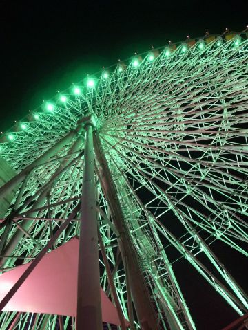 摩天轮2 美丽华摩天轮