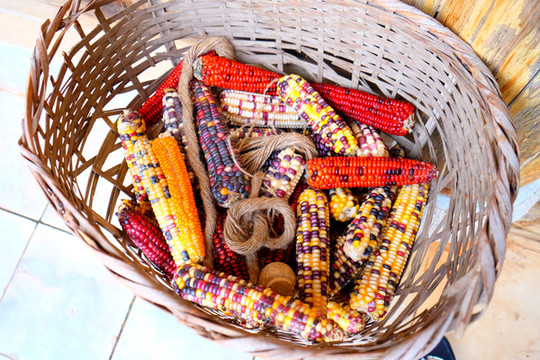 昆明——你的另一个名字是春天