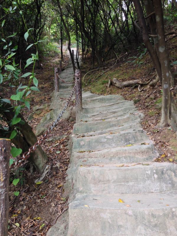 東莞樟木頭觀音山登山