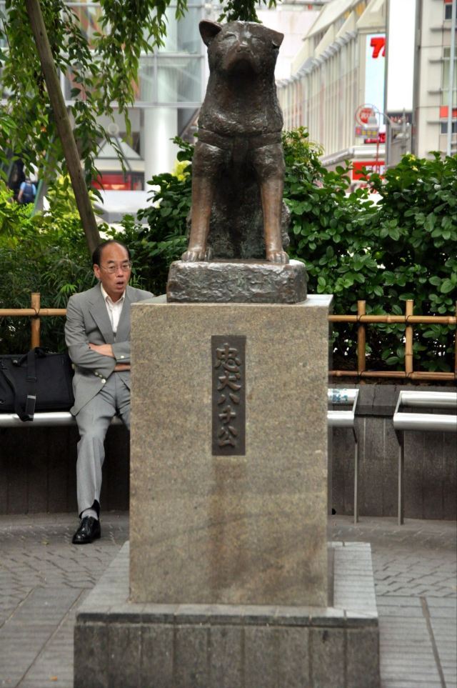 忠犬八公的雕像……就这样随意的立在涩谷站附近