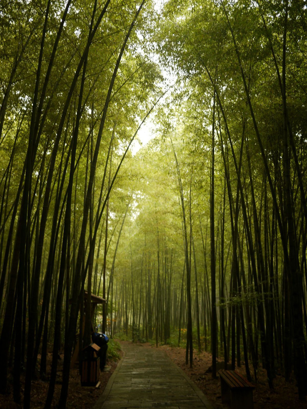 南山竹海