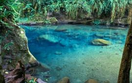 阿里山乡达娜伊谷自然生态公园天气预报 历史气温 旅游指数 达娜伊谷自然生态公园一周天气预报 携程攻略