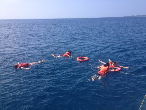 陈氏姐妹花high翻全台湾 上>