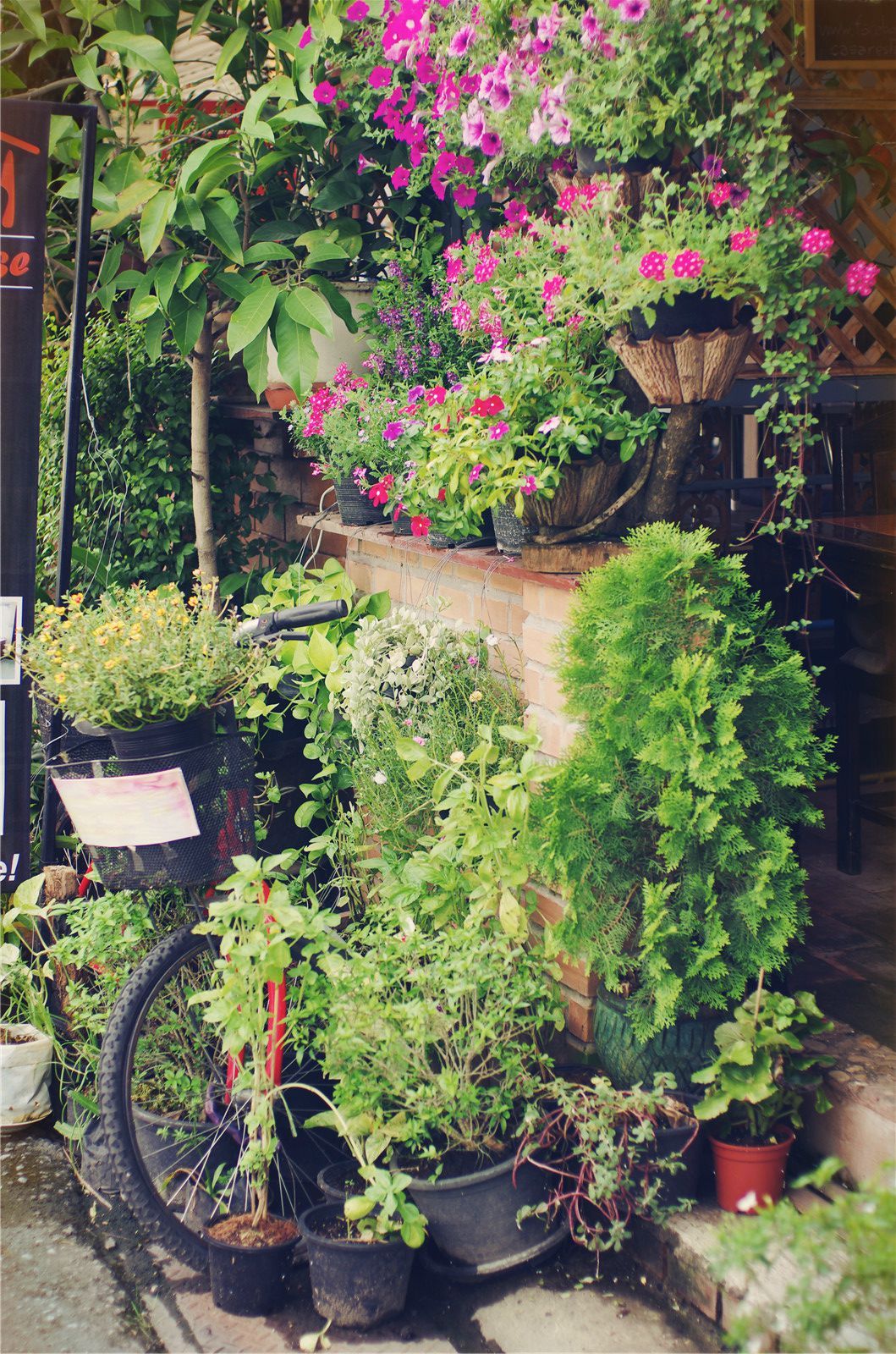 清灵迈步,曼游谷中