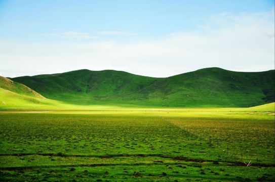 甘南那七日,s自驾在路上(1/2) - 碌曲游记攻略【携程攻略】