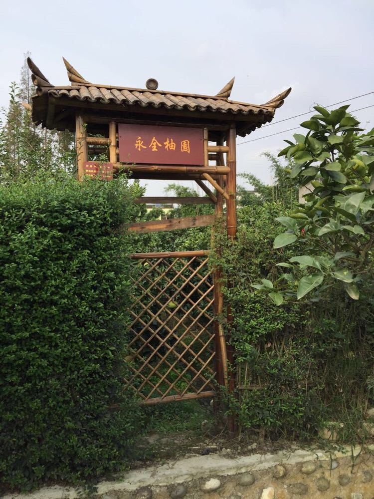 位于新都区斑竹园镇的"花香果居",刚举办了"第十一届新都柚生态旅游