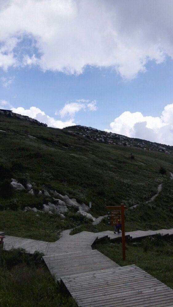贵州黄果树,草海,韭菜坪清凉休闲游 六盘水游记攻略【携程攻略】