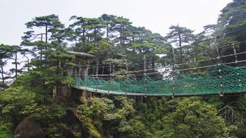 渡仙桥