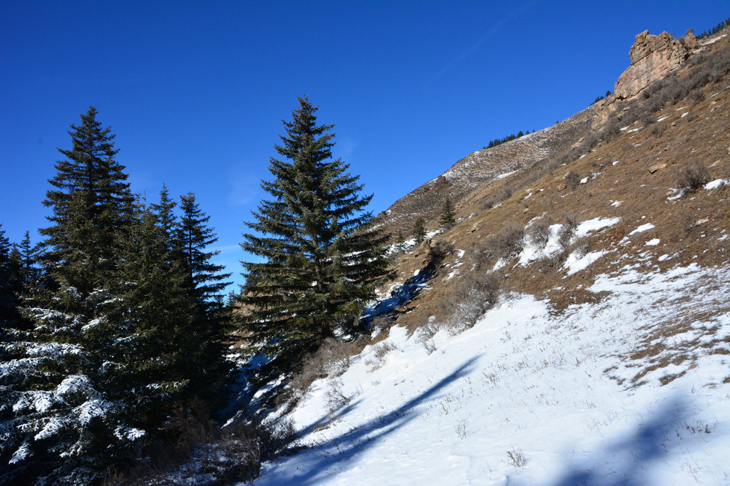 宁夏贺兰山踏雪之旅-穿越宁夏与内蒙古寻找最美冬日雪景(阿拉善左旗南