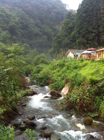 崇州鸡冠山半途游 - 四川游记攻略【携程攻略】