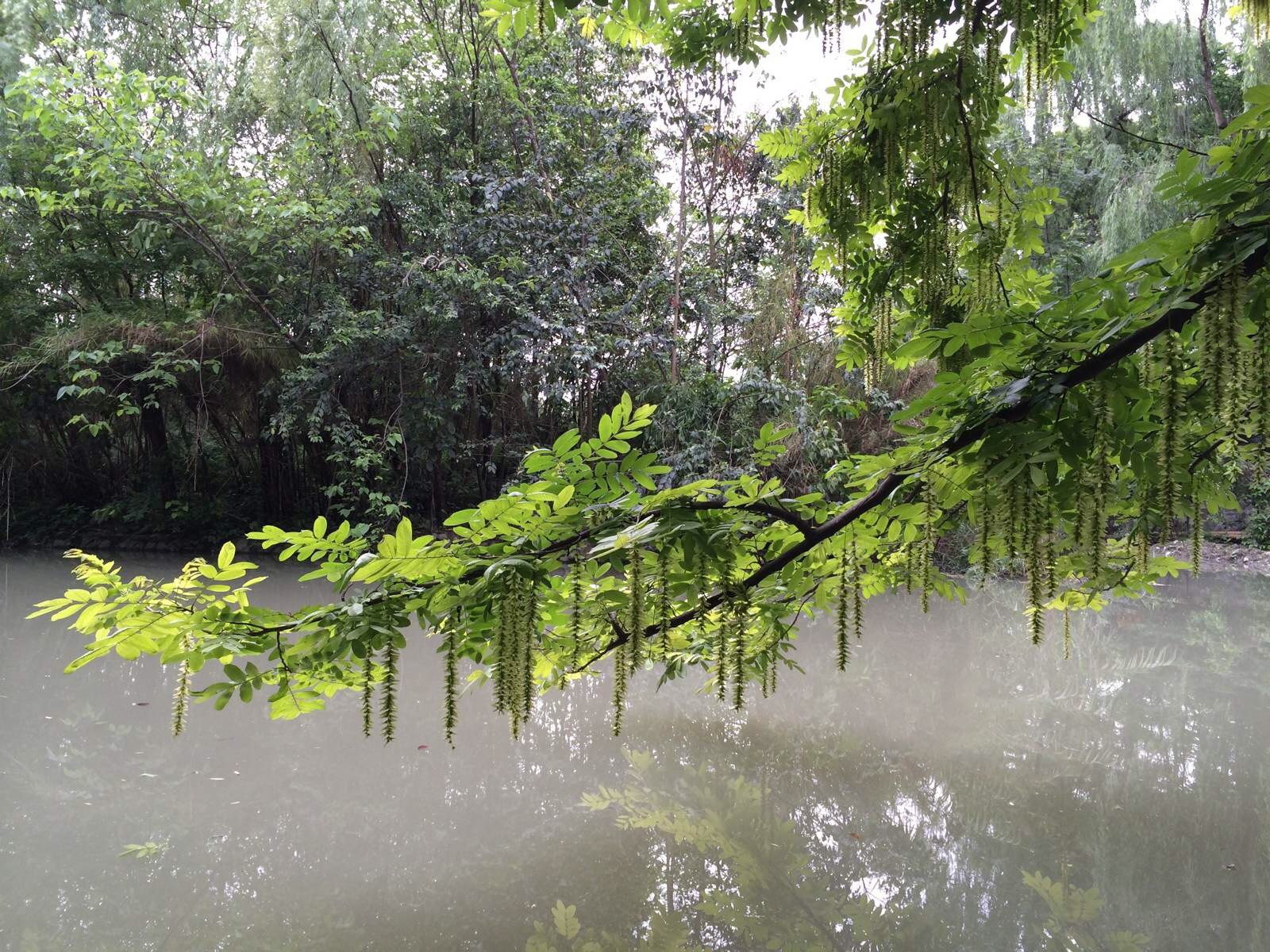 浣花溪公園