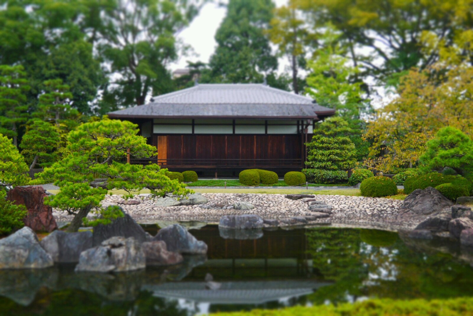 池泉回游式和风庭园 二条城