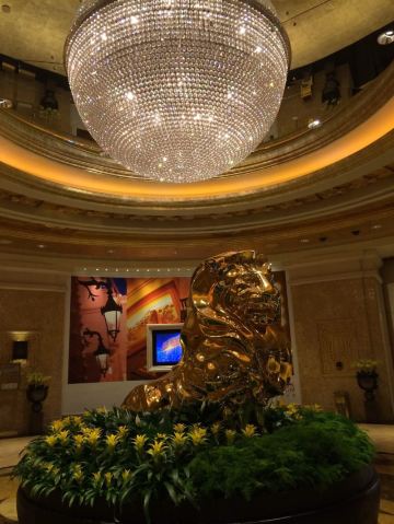 初夏夜之梦,再游澳门.