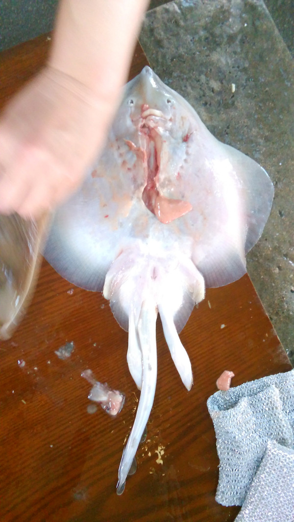 黄夫鱼,又叫老板鱼,长的挺萌的,被宰了之后,感觉挺惨的.