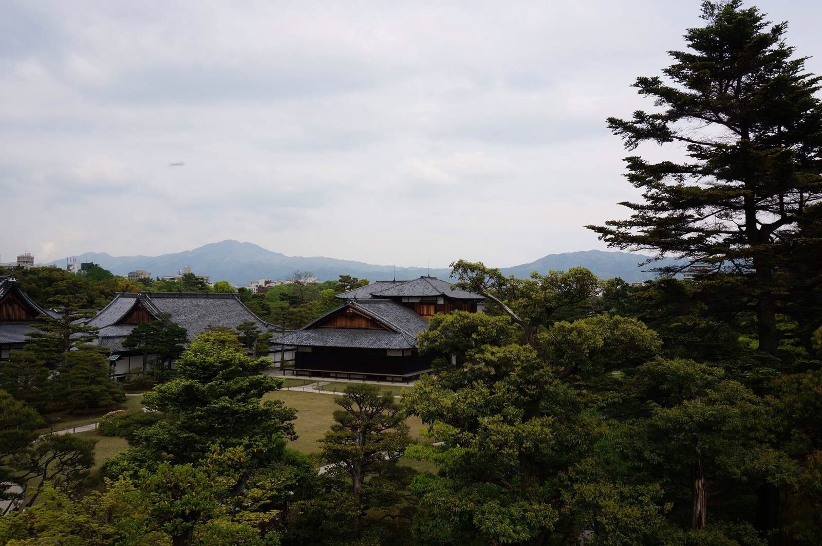 櫻花季後遊日本:京都大阪奈良