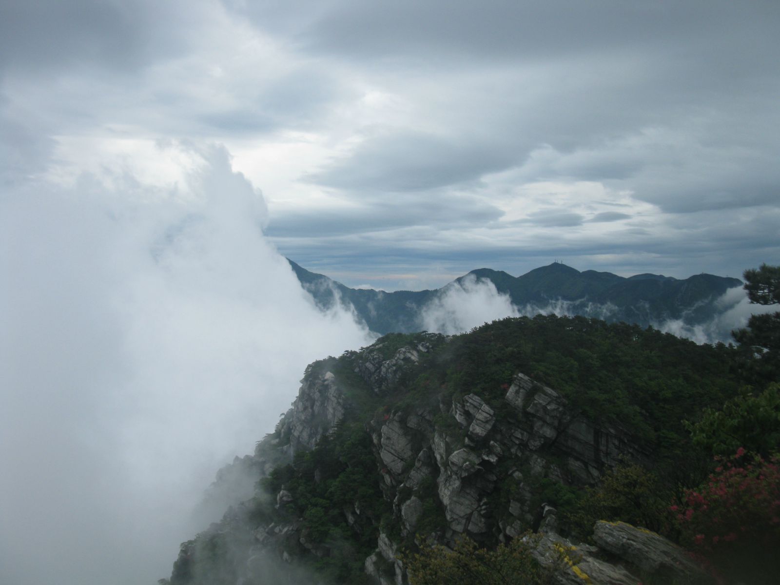 一山飛峙大江邊—登廬山