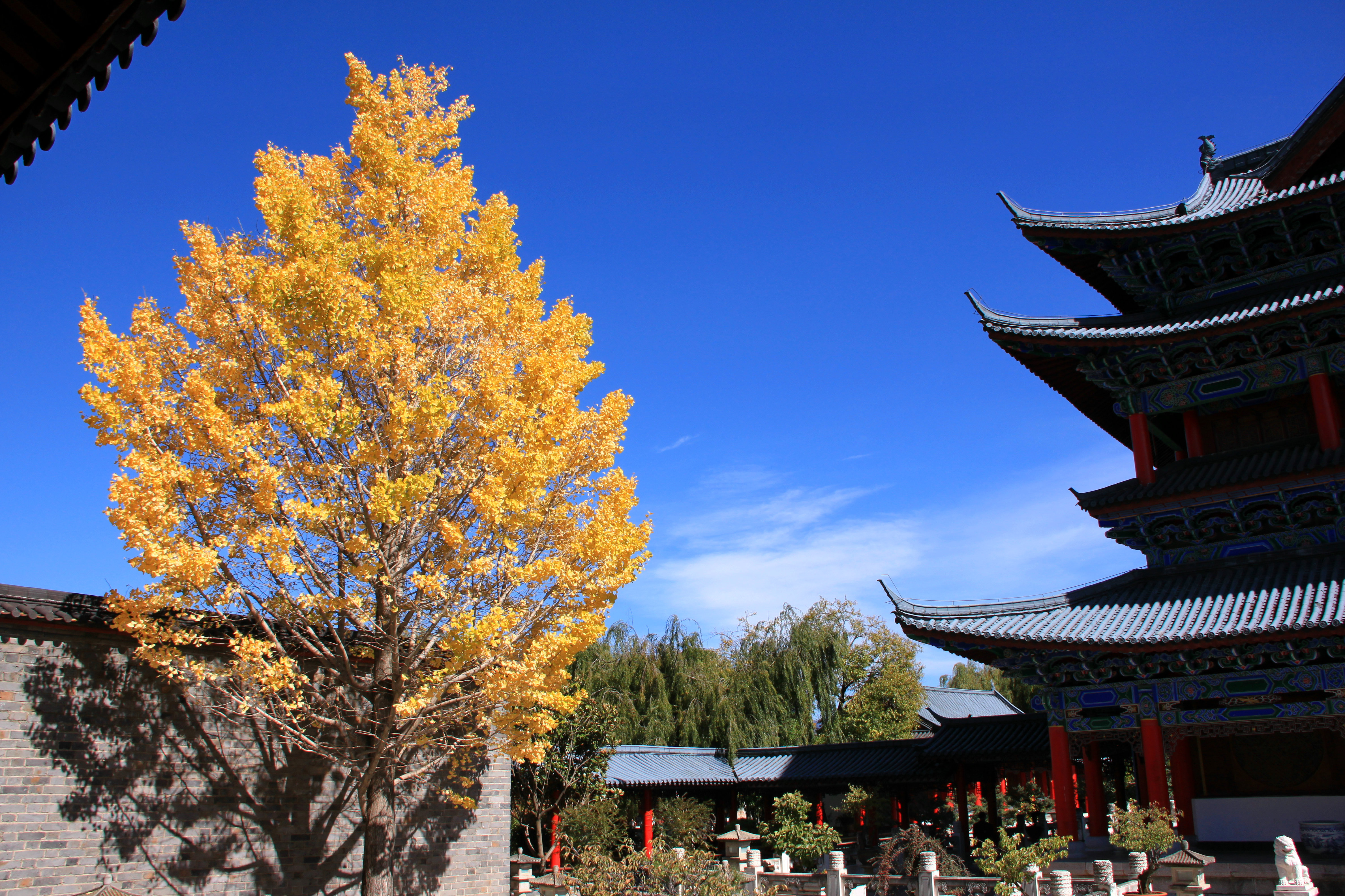 初冬漫游丽江-香格里拉-大理