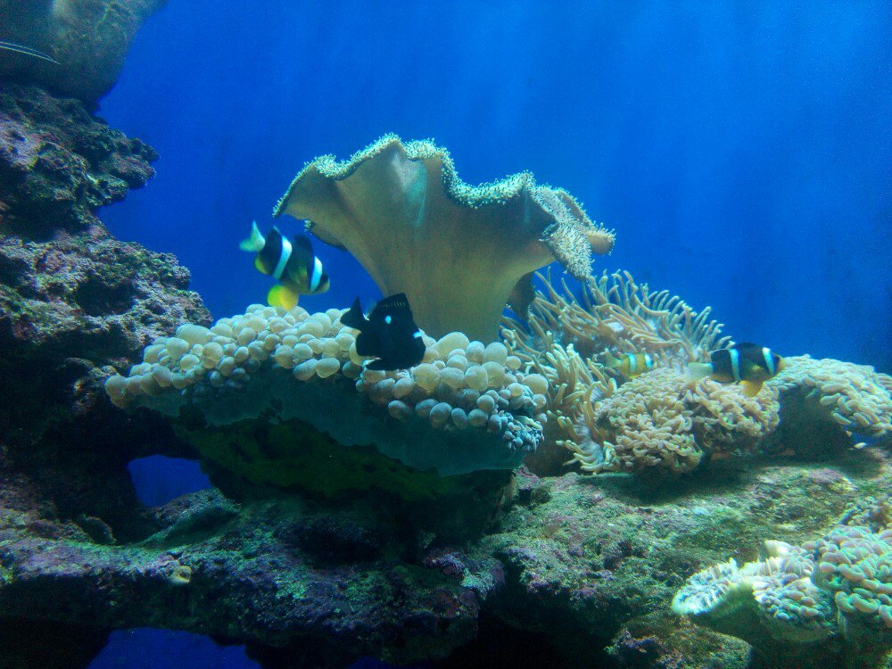 北海海底世界