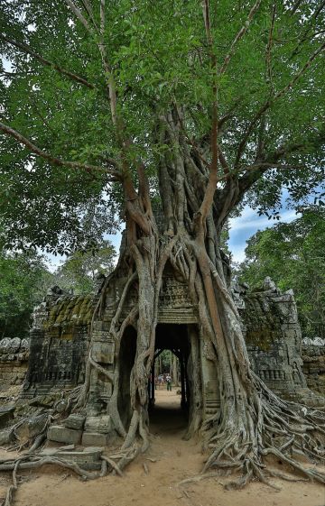 这次是要找到那尊著名的"吴哥的微笑" 巴戎寺