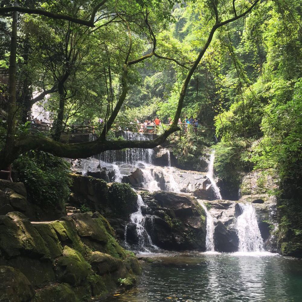 鼎湖山 飛水潭