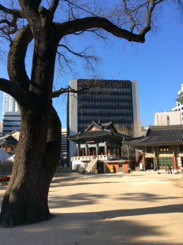 数一数二的大庙就这么几间房而已. 曹溪寺