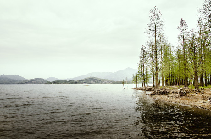 丁山人口_那山那人那狗 童话世界若丁山