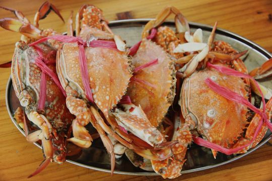 行走广西(北海-涠洲岛-德天-南宁)