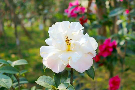 去云南找自己玩