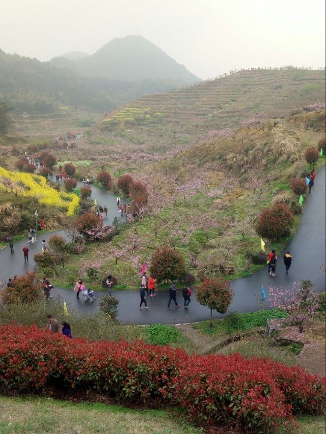 阳山畈村