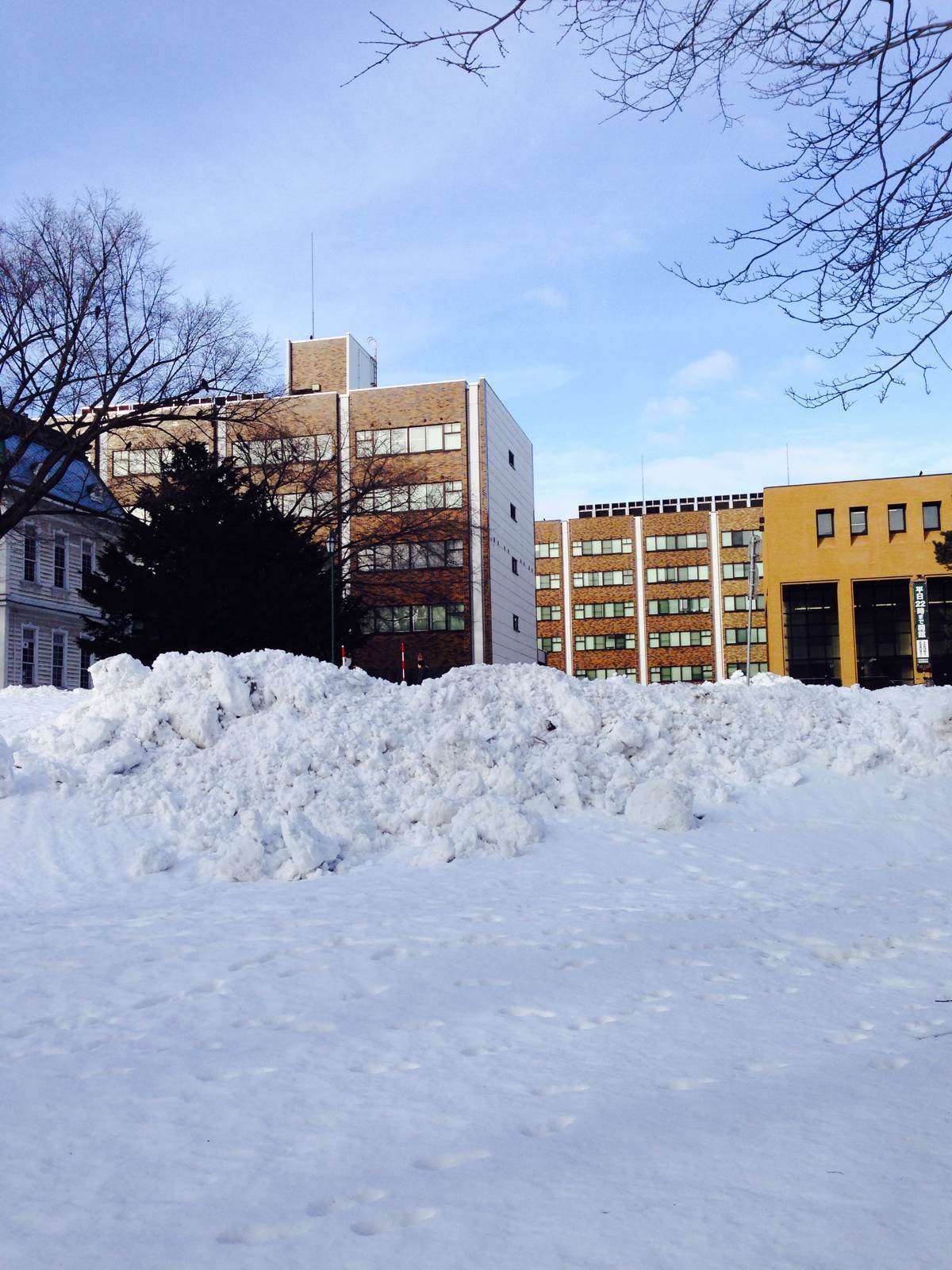 北海道大學