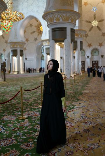 土豪国任性之旅-阿布扎比(2)