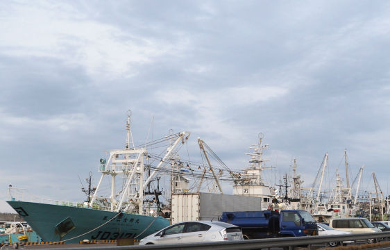 铫子市是千叶县东北部的城市,是全日本少数的几个渔港城市之一,所以