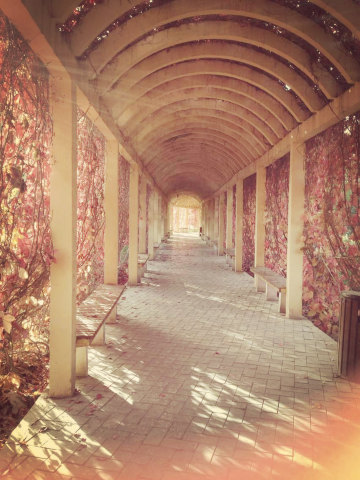 记忆的长廊,某一天,你会在另一端等我