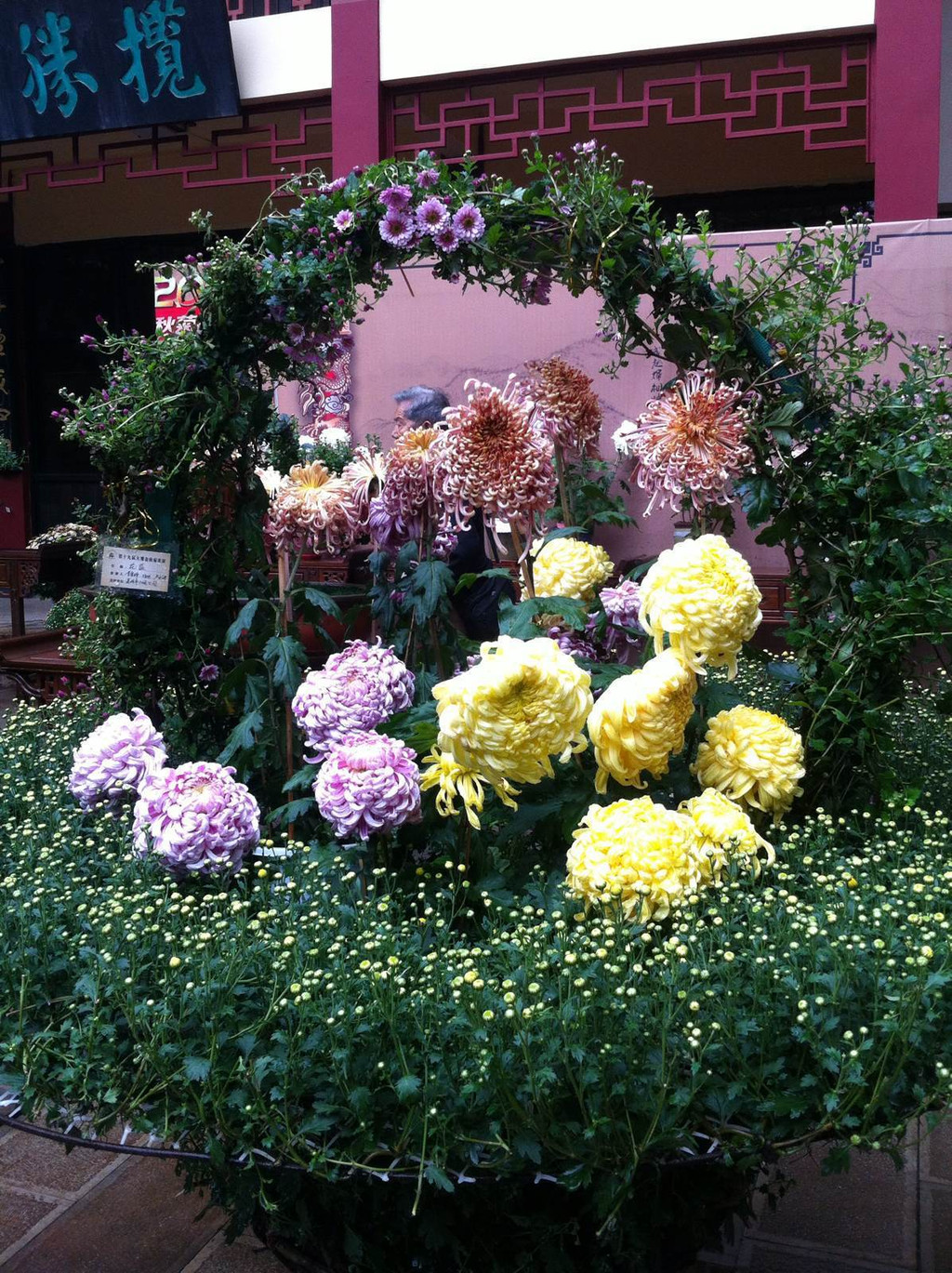 2013年10月5日大观楼金秋菊花展 昆明游记攻略【携程攻略】