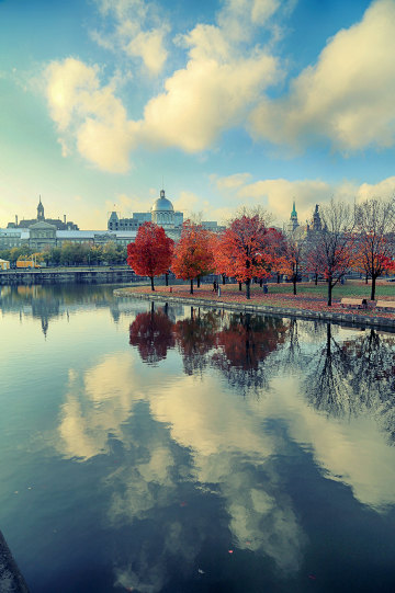 枫叶国四城秋游记 (上) — 蒙特利尔(1)