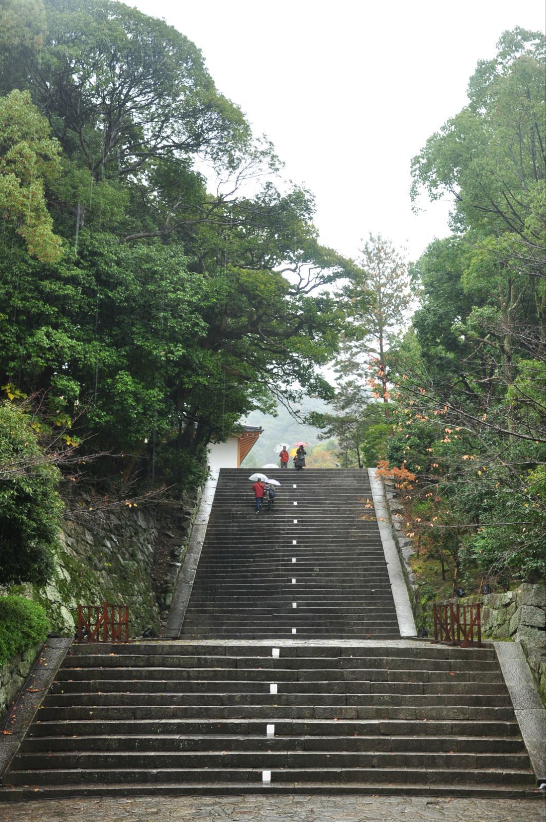走进山门高高的台阶有的寺庙平易,有的寺庙高昂的架子满足 知恩院
