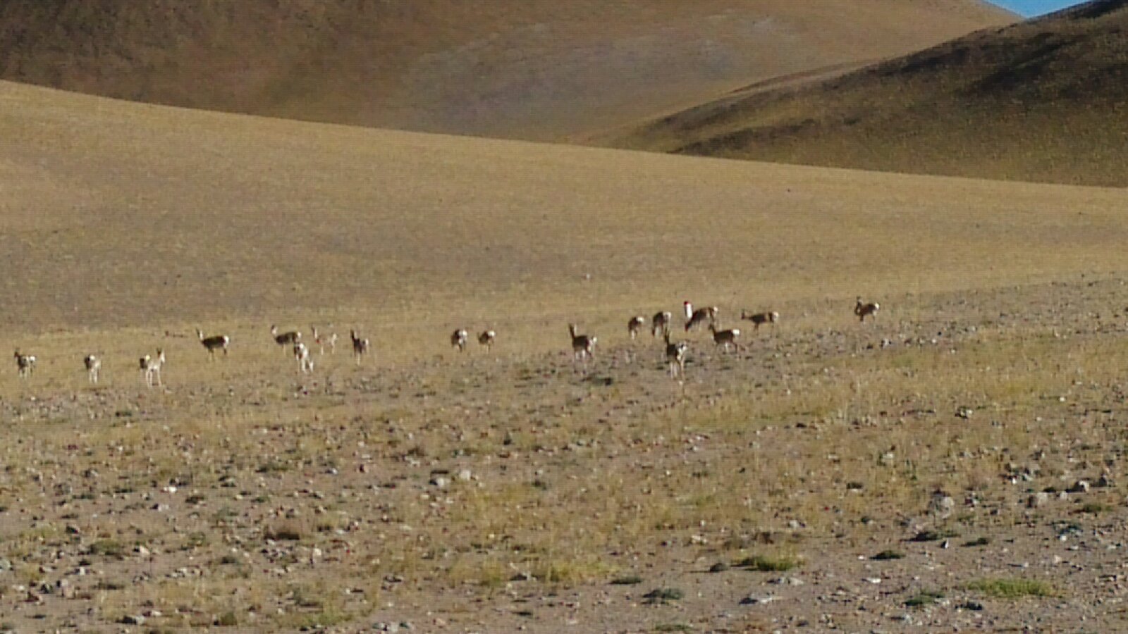 狮泉河镇～革吉县～雄巴乡～亚热乡～仁多乡 (宿仁多)         今天