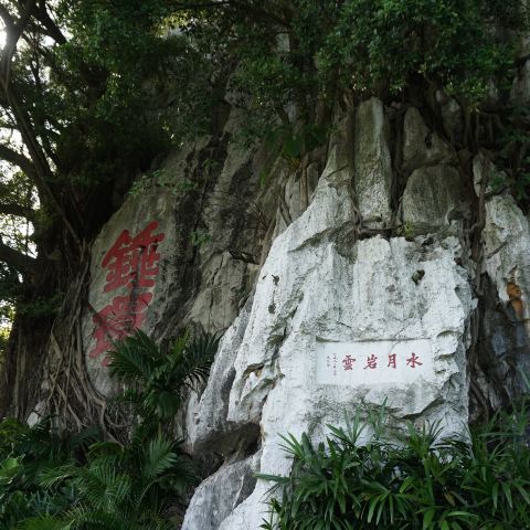 从远到近的仙掌岩,蟾蜍岩,天柱岩,石室岩,玉屏岩,阆风岩等六座奇峰