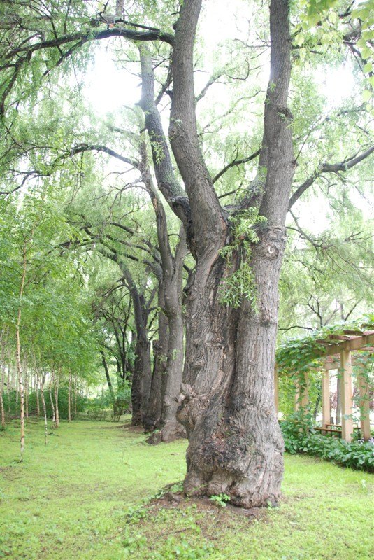 八五三农场燕窝岛旅游度假区