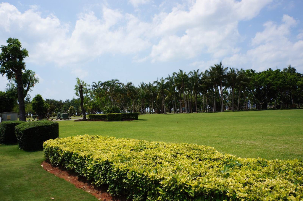 萬綠園 海邊公園,要是深圳也有這樣的綠道給雙人帶蓬的自行車走就好了