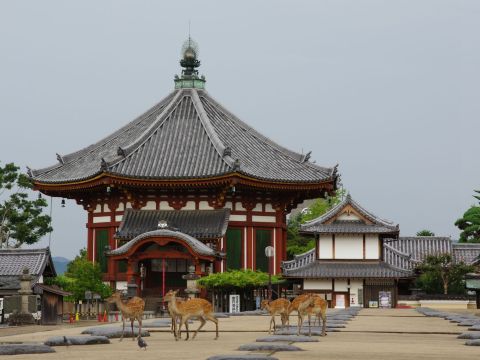 奈良猿泽池 兴福寺为一座位于日本奈良县奈良市登大路町的寺院,为
